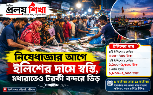 ২২ দিনের নিষেধাজ্ঞা, ইলিশ কিনতে টরকীতে রাতভর ভিড়