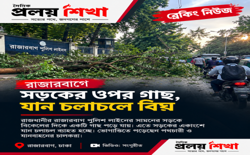 🚨 রাজারবাগে সড়কের ওপর গাছ, যান চলাচলে বিঘ্ন